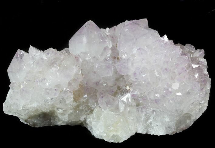 Cactus Quartz (Amethyst) Crystals - South Africa #47180
